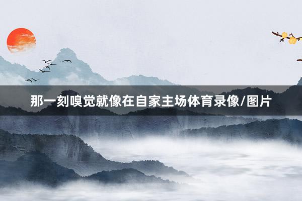 那一刻嗅觉就像在自家主场体育录像/图片