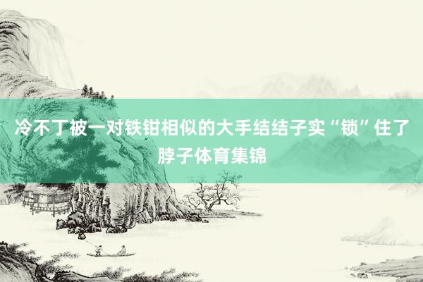 冷不丁被一对铁钳相似的大手结结子实“锁”住了脖子体育集锦