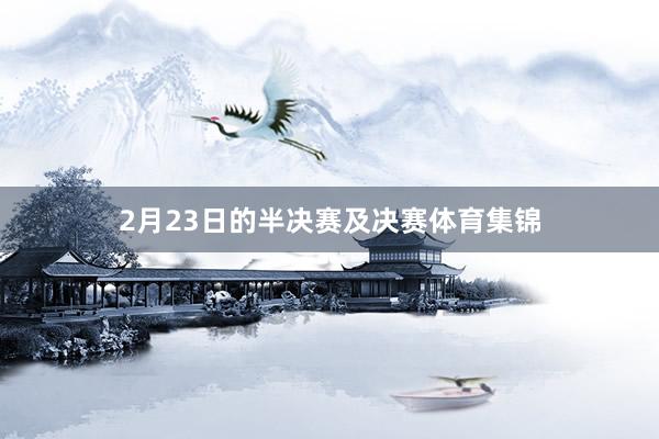 2月23日的半决赛及决赛体育集锦