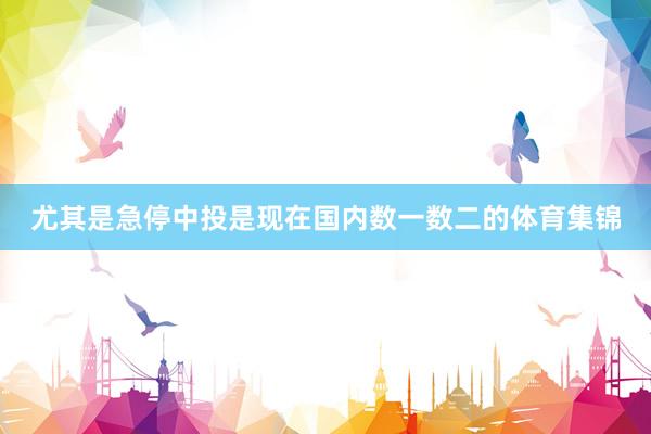 尤其是急停中投是现在国内数一数二的体育集锦