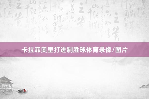 卡拉菲奥里打进制胜球体育录像/图片