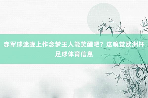 赤军球迷晚上作念梦王人能笑醒吧？这嗅觉欧洲杯足球体育信息