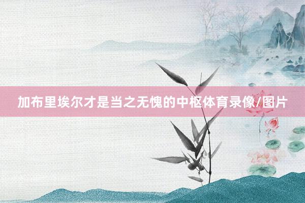 加布里埃尔才是当之无愧的中枢体育录像/图片