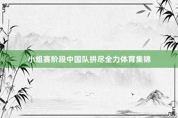 小组赛阶段中国队拼尽全力体育集锦