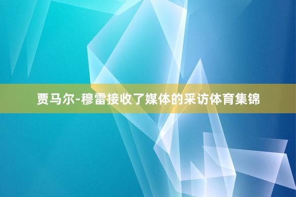 贾马尔-穆雷接收了媒体的采访体育集锦