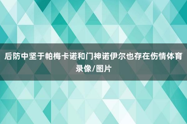 后防中坚于帕梅卡诺和门神诺伊尔也存在伤情体育录像/图片