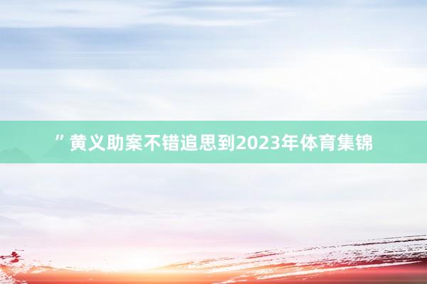 ”黄义助案不错追思到2023年体育集锦