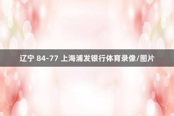 辽宁 84-77 上海浦发银行体育录像/图片