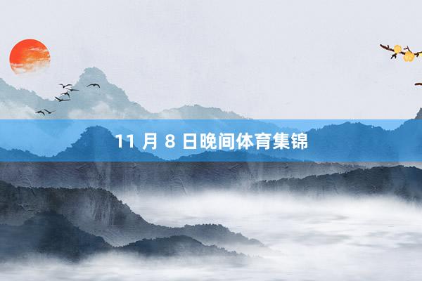 11 月 8 日晚间体育集锦
