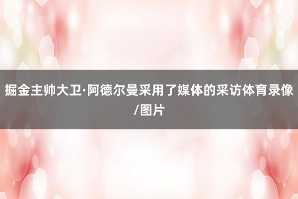 掘金主帅大卫·阿德尔曼采用了媒体的采访体育录像/图片