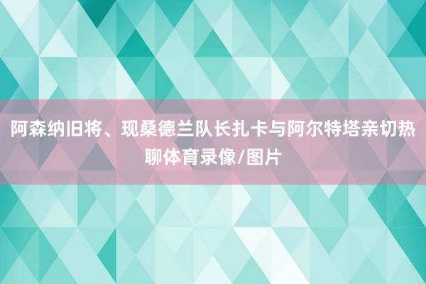 阿森纳旧将、现桑德兰队长扎卡与阿尔特塔亲切热聊体育录像/图片