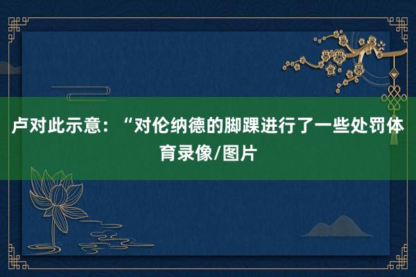 卢对此示意：“对伦纳德的脚踝进行了一些处罚体育录像/图片