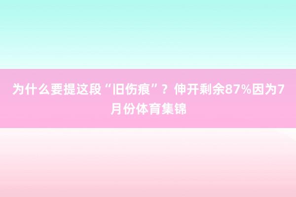 为什么要提这段“旧伤痕”？伸开剩余87%因为7月份体育集锦