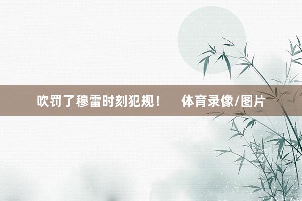 吹罚了穆雷时刻犯规！    体育录像/图片